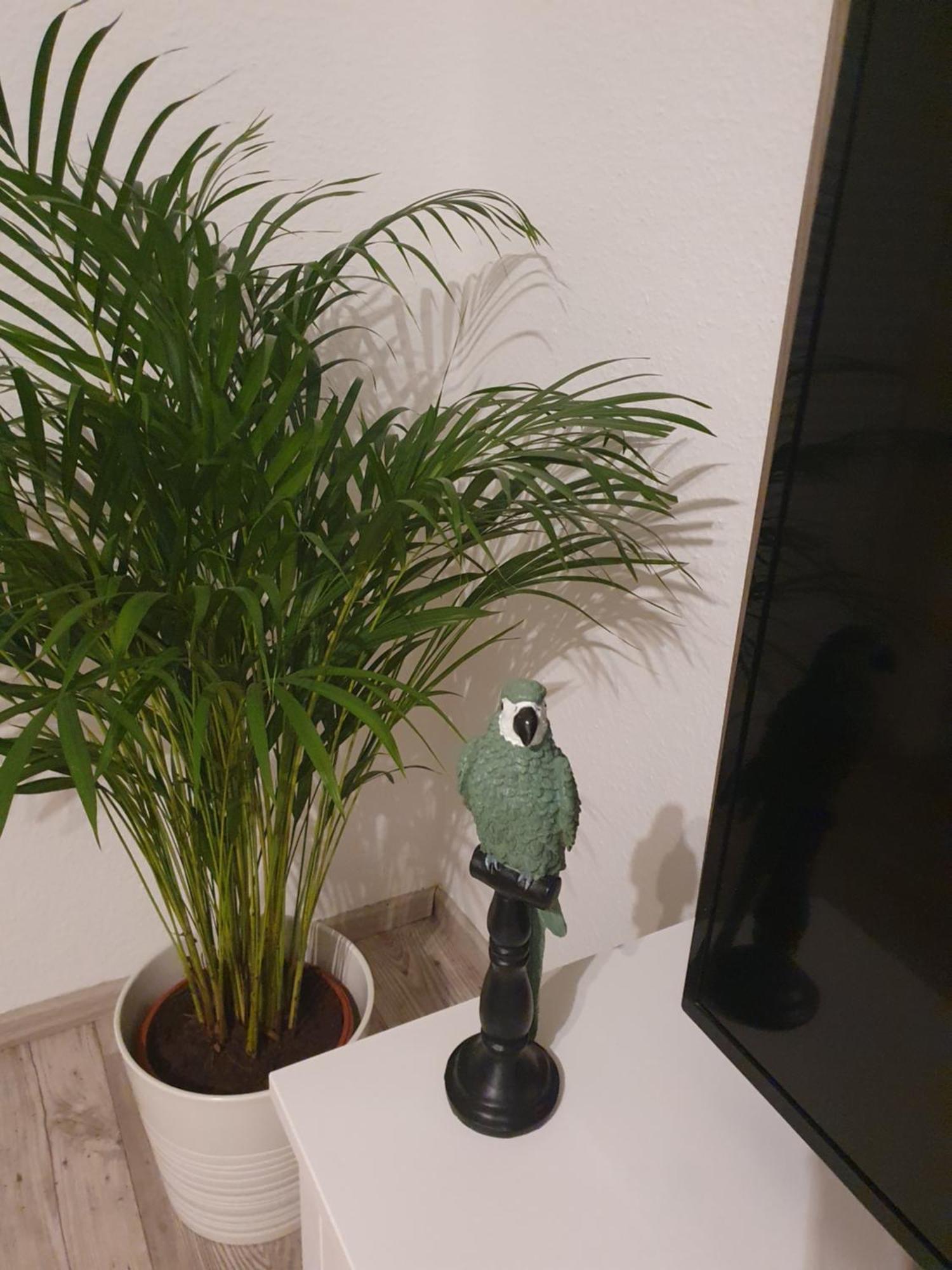 Charmante Haushaelfte Mit Garten Und Terrasse فلنسبورغ الغرفة الصورة